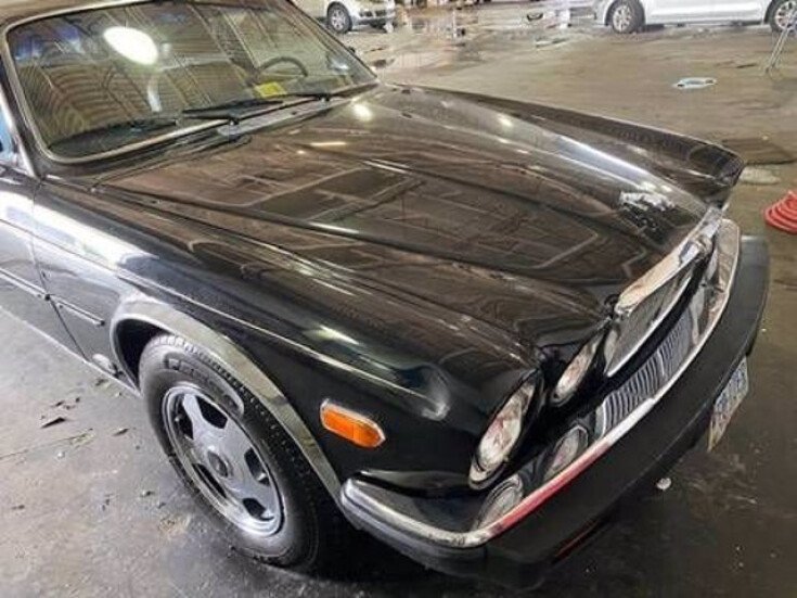 Photo for 1983 Jaguar XJ6